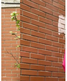 ZARA | シャツ/ブラウス