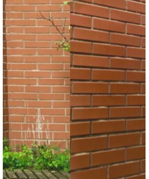 ZARA | デニムパンツ