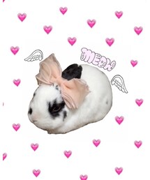 rabbit | my angel♡♡(その他)