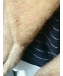 Ungrid | トップス