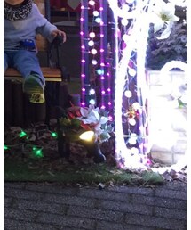 オブジェ | 照明