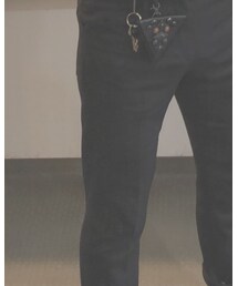 TOGA VIRILIS | スラックス