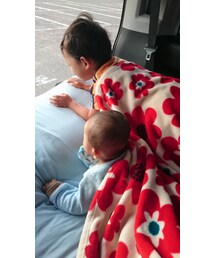 車中泊の朝 | その他