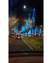 御堂筋ライトアップ | その他