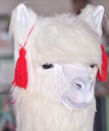 no brand | アルパカさん(その他)