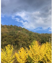 癒される💗 | その他