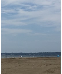 今年はこれで最後🌴 | その他