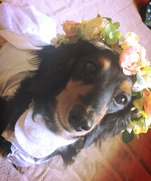 花冠♡(その他ヘアアクセサリー)