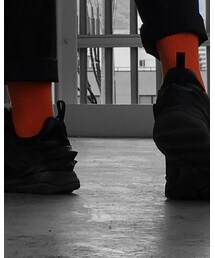 UNIQLO | ソックス/靴下