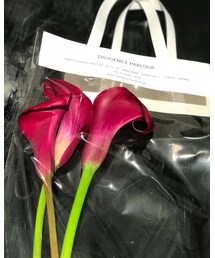 calla lilies:) | その他