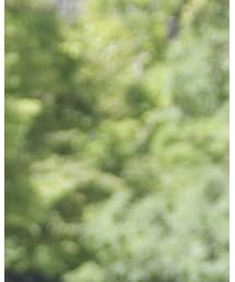 Birthday | キャップ