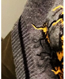 ZARA | ニット/セーター