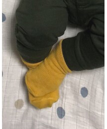 next | ソックス/靴下