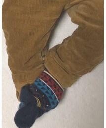 next | ソックス/靴下