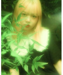 我正在收集熊和证据 | ワンピース