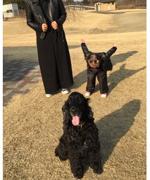 お散歩🐶☀️ | その他