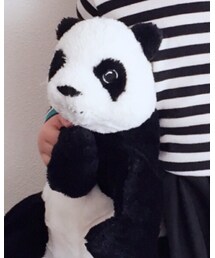 パンちゃん🐼 | ペットウェア