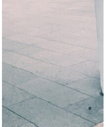 OVERKILL inc. | レッグウェア