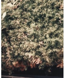 otheruk | パーカー