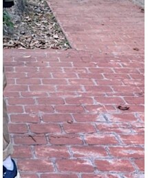 MADNESS | シューズ