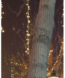 CHINA | トップス