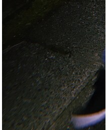 Jordan | スニーカー