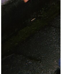 Levi's | デニムパンツ