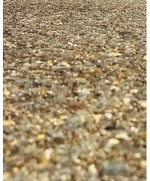 Levi's | デニムパンツ