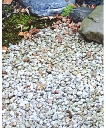 ベルメゾン | ワンピース