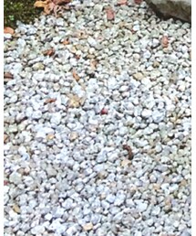 babyGAP | タイツ/ストッキング