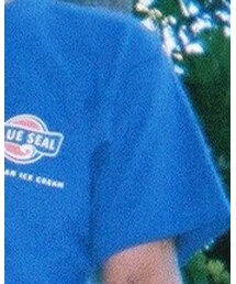 BLUE SEAL | Tシャツ/カットソー