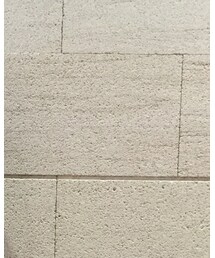 Engineered Garments | シャツ/ブラウス