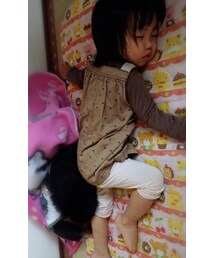 仲良くお昼寝 | 愛犬(その他)