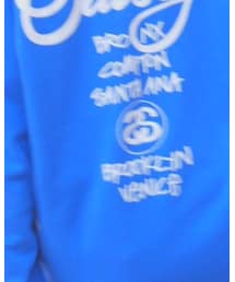 STUSSY | スウェット