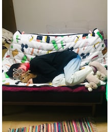 別ショット『溺愛』 | ペットグッズ