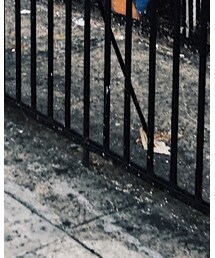 OLD NAVY | その他パンツ