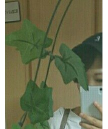 w closet | キャップ