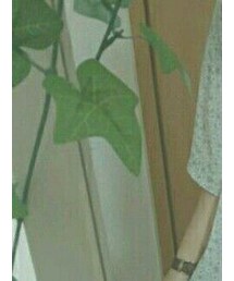 cepo | ジャケット/アウター