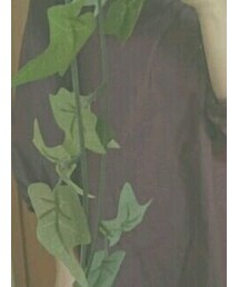 Lugnoncure | トップス