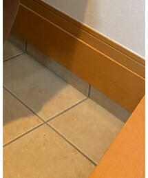 TOMS | スリッポン