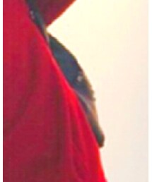 雑誌miniの付録 | バックパック/リュック