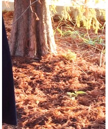 新崛江 | オールインワン・サロペット