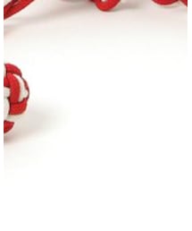 mintdesigns | ベルト