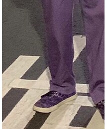 VANS | シューケア用品