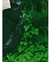 sus4 | バックパック/リュック