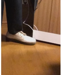 Dr. Martens | アウトレットで購入したキャンパス生地のスニーカー(スニーカー)