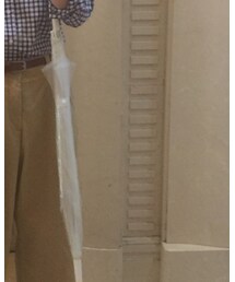 GAP | チノパンツ