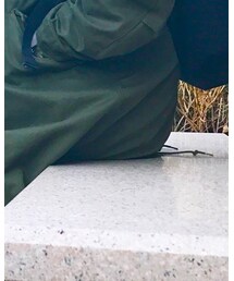 Champion | ベスト