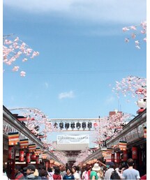 ❤️ ２ 仲見世通り | その他