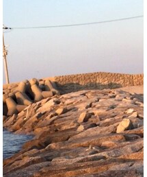 UNIQLO | ニット/セーター